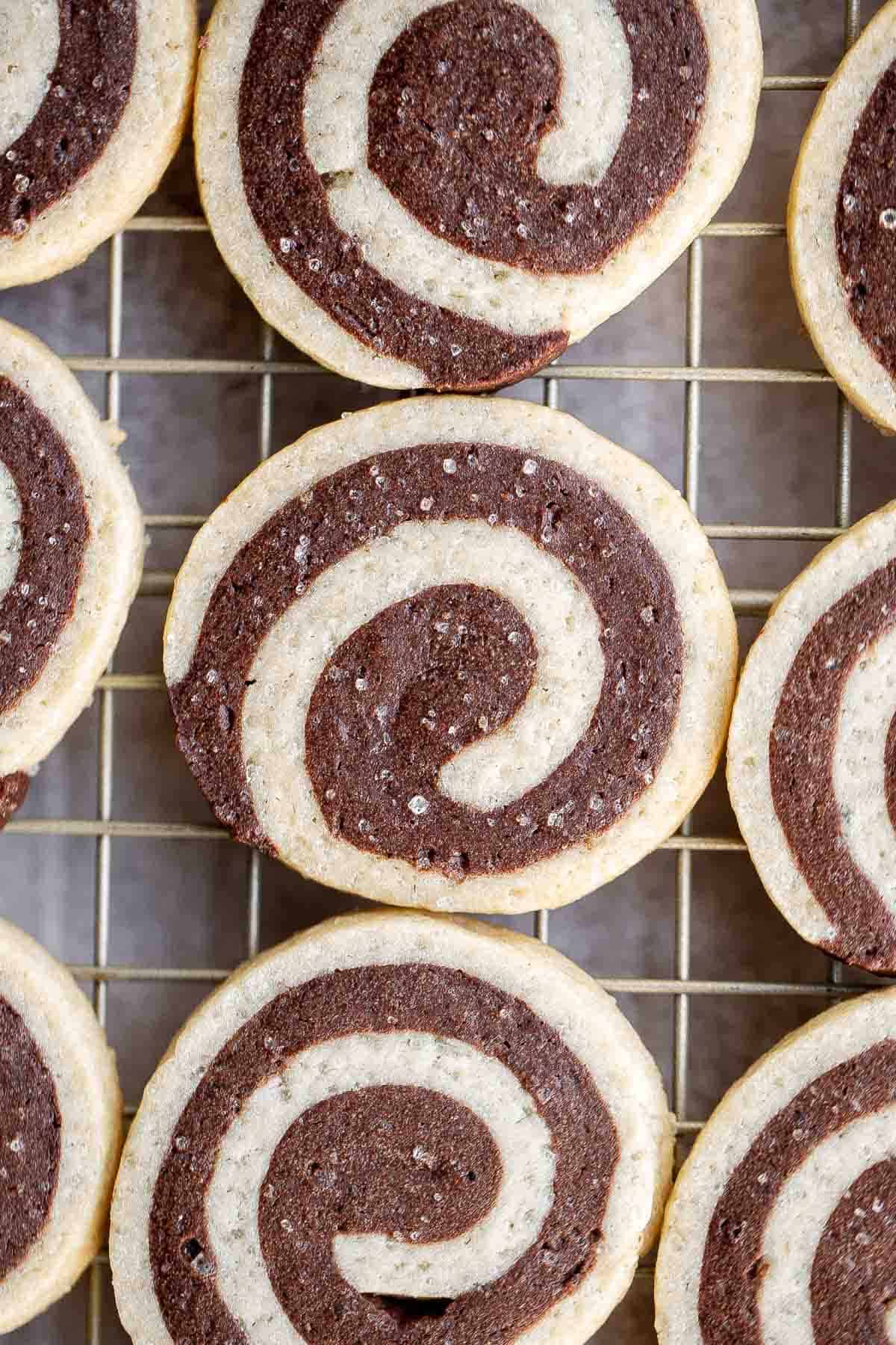 Chocolate Pinwheel Cookies are a Christmastime classic — sweet, buttery, and melt in your mouth delicious. Plus, an easy to make slice-and-bake cookie. | aheadofthyme.com