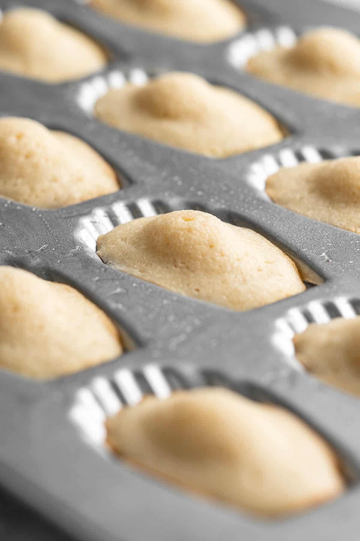 Classic Madeleines are soft spongy mini cakes with a signature shell shape and dusting of sugar on top. Making French butter cakes is easier than you think! | aheadofthyme.com