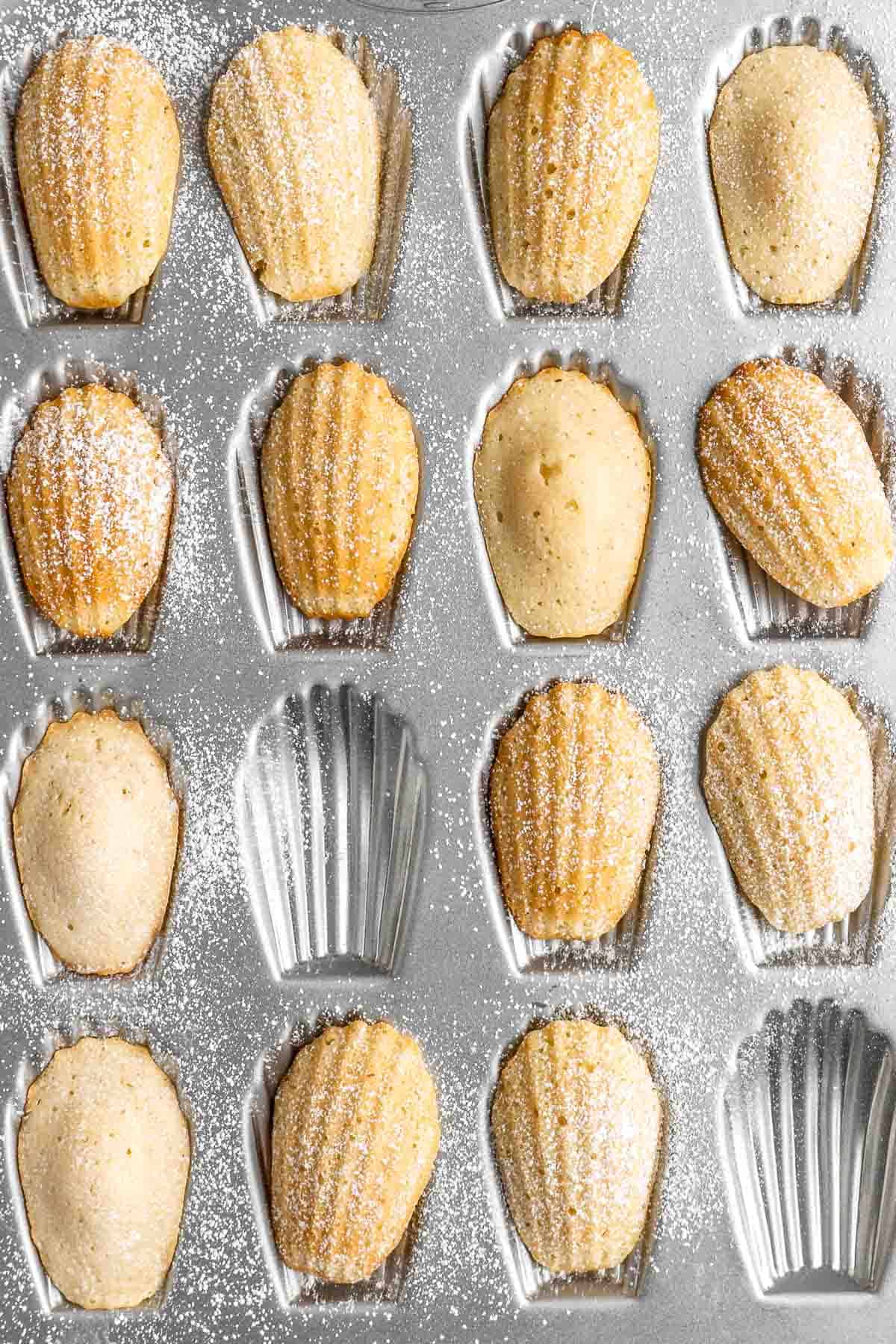 Classic Madeleines are soft spongy mini cakes with a signature shell shape and dusting of sugar on top. Making French butter cakes is easier than you think! | aheadofthyme.com