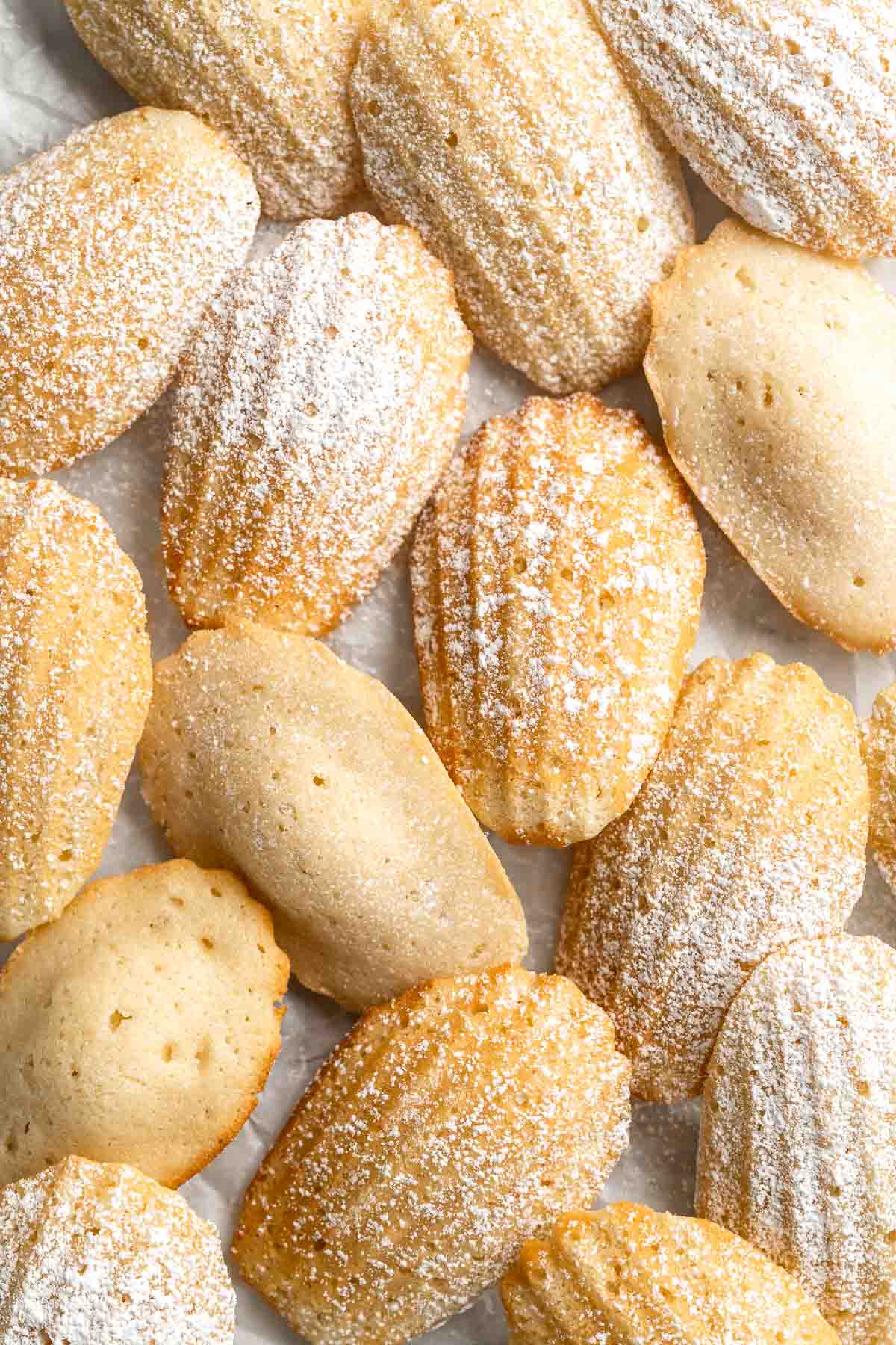 Classic Madeleines are soft spongy mini cakes with a signature shell shape and dusting of sugar on top. Making French butter cakes is easier than you think! | aheadofthyme.com