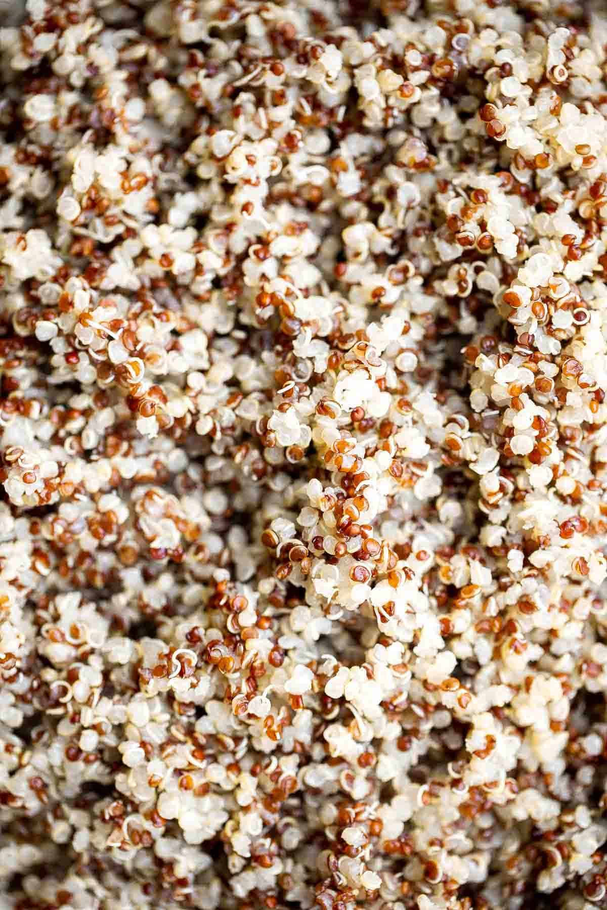 Making perfect fluffy quinoa at home is quick and a lot easier than you think! Learn how to cook quinoa perfectly every time using our simple recipe. | aheadofthyme.com