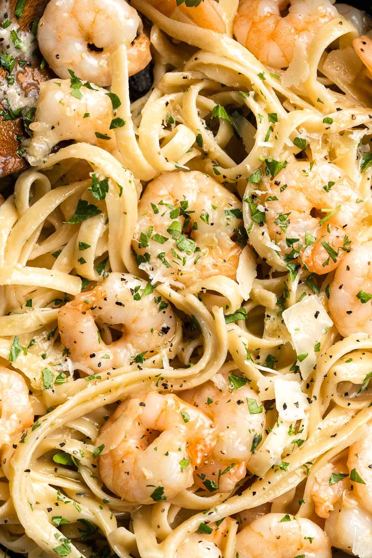 Shrimp Alfredo is creamy, garlicky, and delicious! This quick and easy, under 30-minute recipe is a go-to for busy nights and a year-round family favorite. | aheadofthyme.com