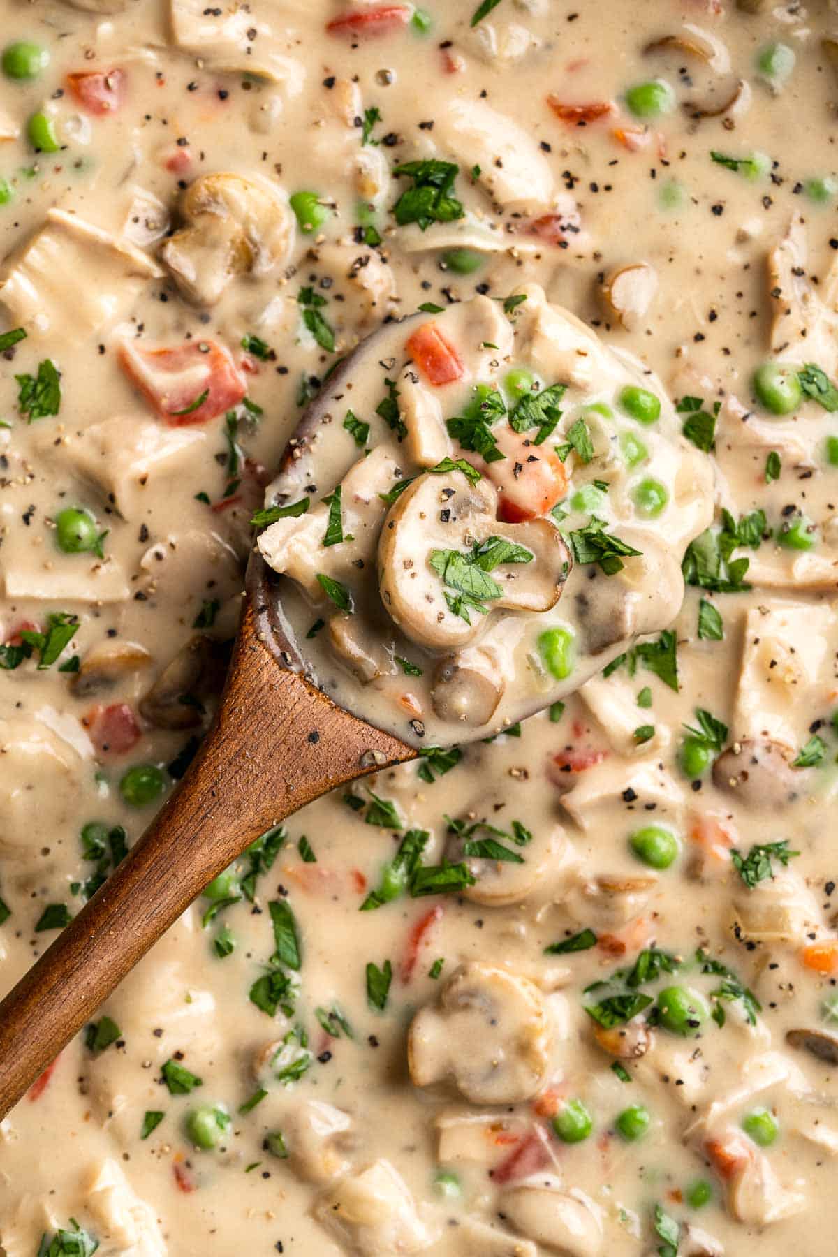 Chicken a la King is rich, creamy, and hearty comfort food. This 30-minute dinner recipe contains chicken and veggies in a cream sauce made from scratch. | aheadofthyme.com