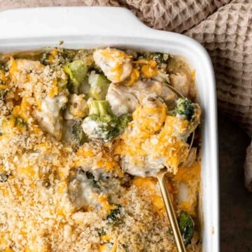 Chicken Divan is a deliciously creamy casserole made with tender chicken and cheesy broccoli, baked with breadcrumbs. It's warm and cozy comfort food. | aheadofthyme.com