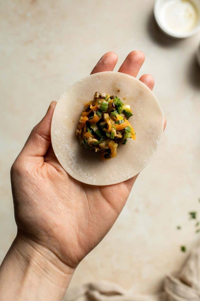 Homemade Chicken Potstickers have a crispy shell on the outside with a burst of delicious chicken filling on the inside that's seasoned to perfection. | aheadofthyme.com