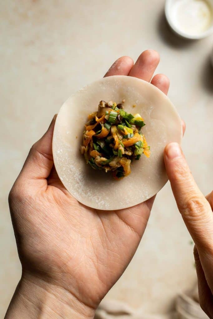Homemade Chicken Potstickers have a crispy shell on the outside with a burst of delicious chicken filling on the inside that's seasoned to perfection. | aheadofthyme.com