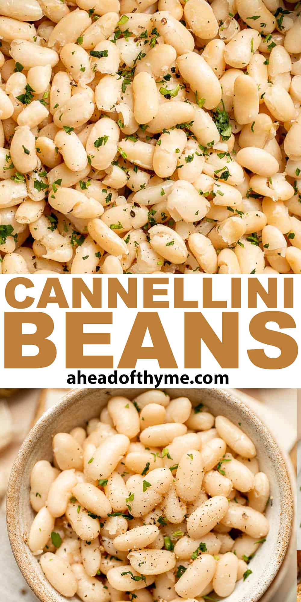 One pot Cannellini Beans are creamy, buttery, and nourishing. Serve them as a simple vegan side dish or as a delicious addition to soups, salads, and more. | aheadofthyme.com