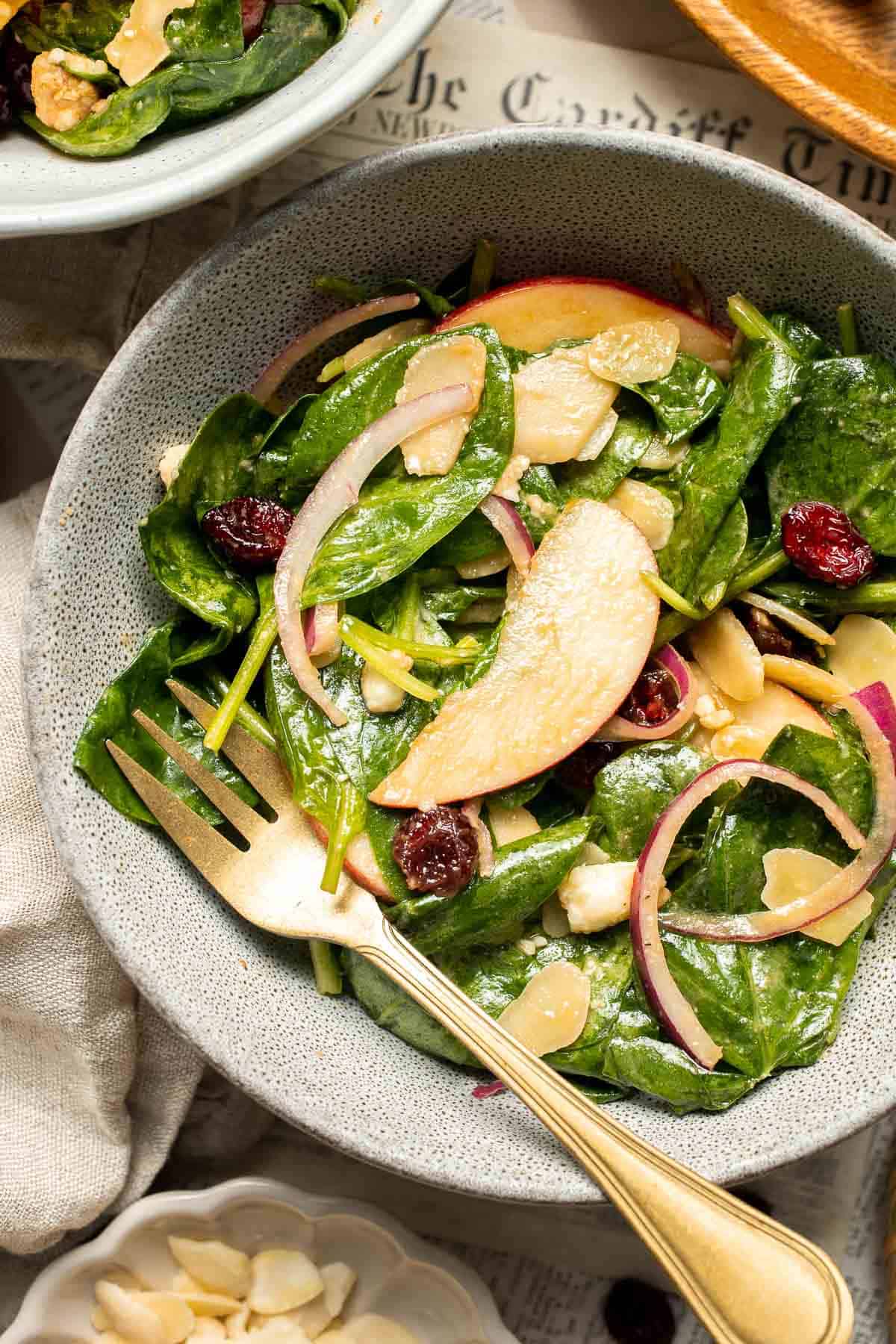 This Spinach Salad is a healthy and easy to make fall recipe with spinach, apples, cranberries, pecans, and feta tossed in homemade balsamic vinaigrette. | aheadofthyme.com