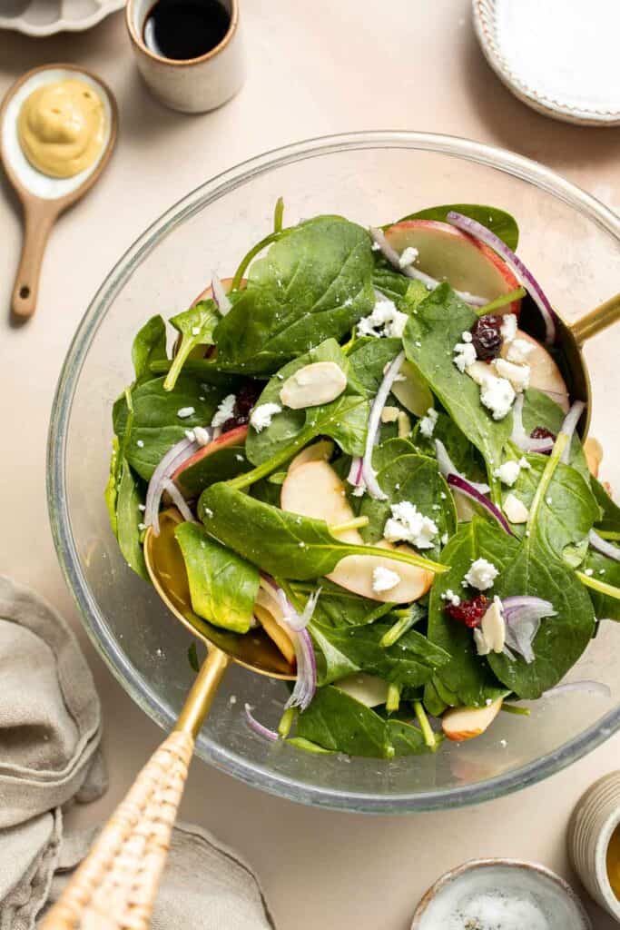 This Spinach Salad is a healthy and easy to make fall recipe with spinach, apples, cranberries, pecans, and feta tossed in homemade balsamic vinaigrette. | aheadofthyme.com
