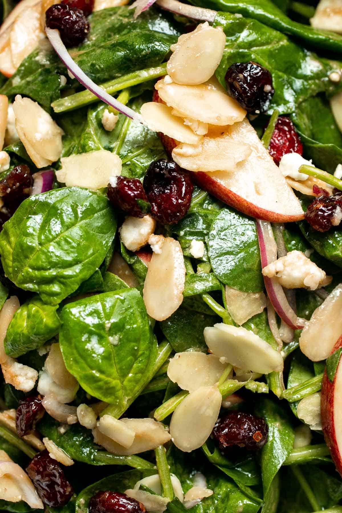 This Spinach Salad is a healthy and easy to make fall recipe with spinach, apples, cranberries, pecans, and feta tossed in homemade balsamic vinaigrette. | aheadofthyme.com