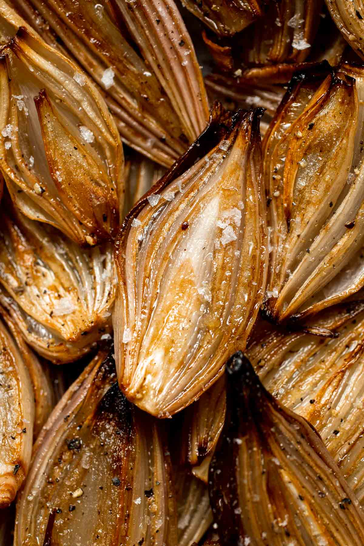 Roasted Shallots are a rich, caramelized side dish with a hint of sweetness and a kick from tangy balsamic vinegar. Ready in just 30 minutes! | aheadofthyme.com