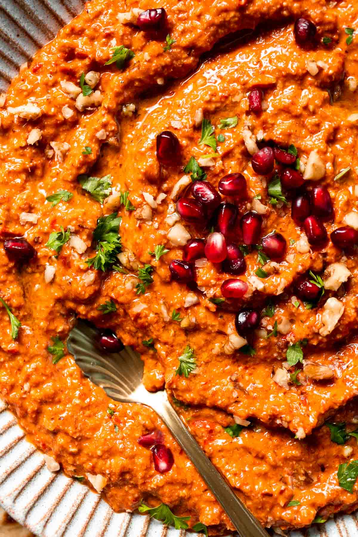 Muhammara is a delicious Middle Eastern dip made with roasted red peppers, walnuts, and spices. Perfect for dipping or spreading on sandwiches. | aheadofthyme.com