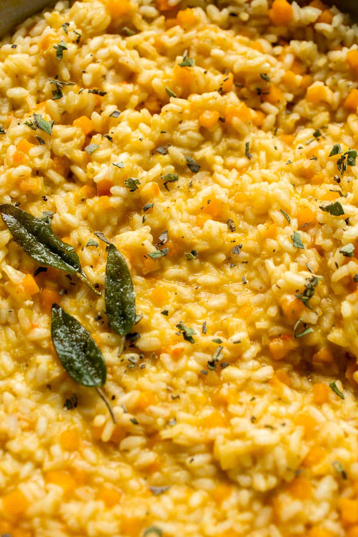 Enjoy a taste of fall with this creamy pumpkin risotto made with arborio rice, savory pumpkin, and aromatic herbs for a cozy, flavorful dish. | aheadofthyme.com