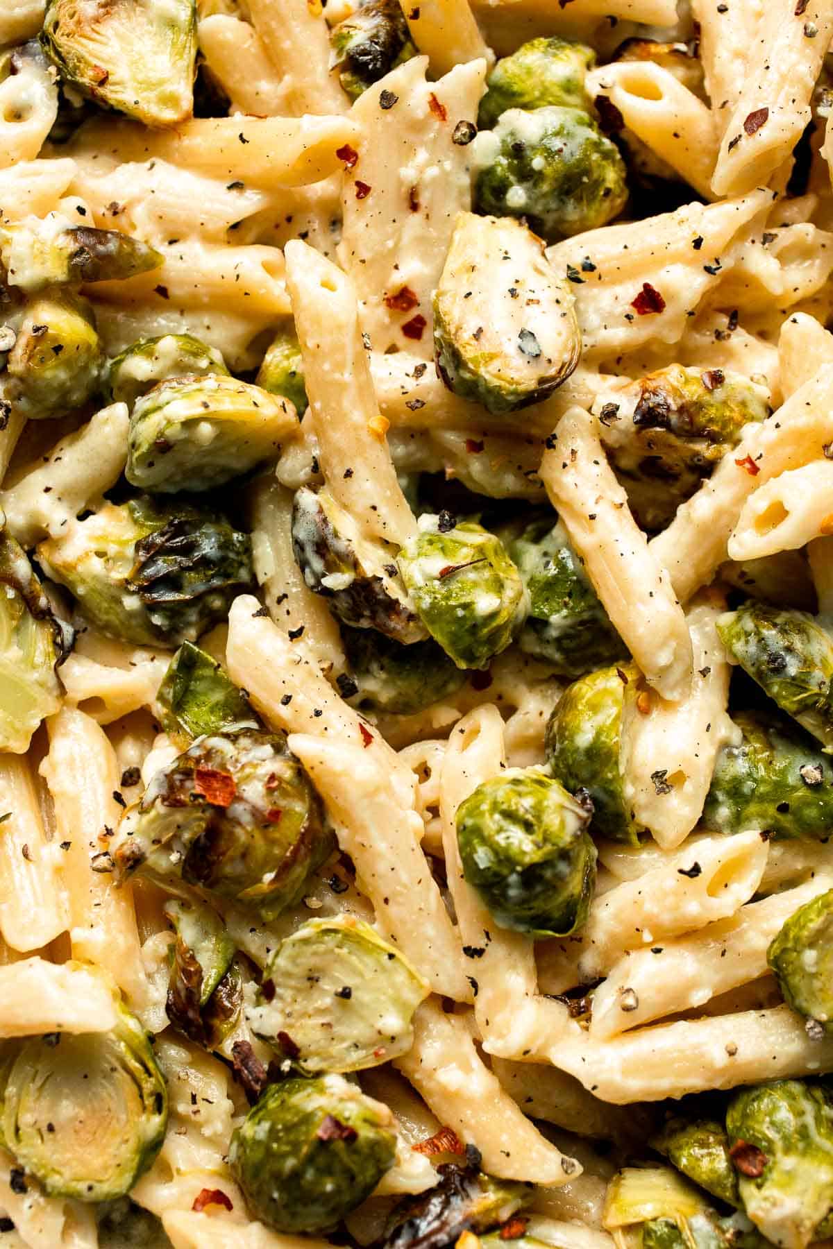 Roasted Brussels Sprouts Pasta is creamy, cozy, and full of caramelized sprouts tossed in a garlic Parmesan sauce. A delicious and easy weeknight dinner. | aheadofthyme.com