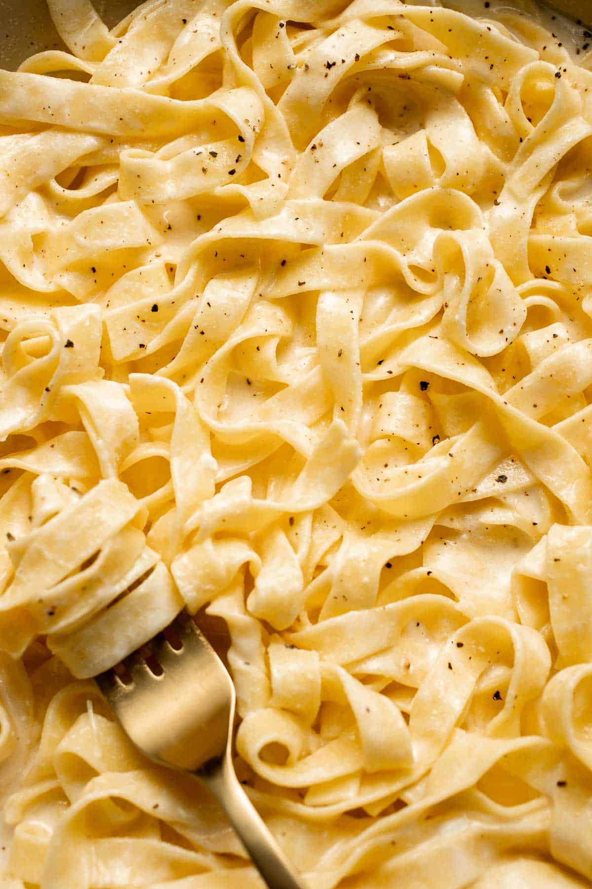 Creamy cottage cheese alfredo pasta made with simple ingredients, high protein, lighter than traditional alfredo, and ready in 20 minutes. | aheadofthyme.com