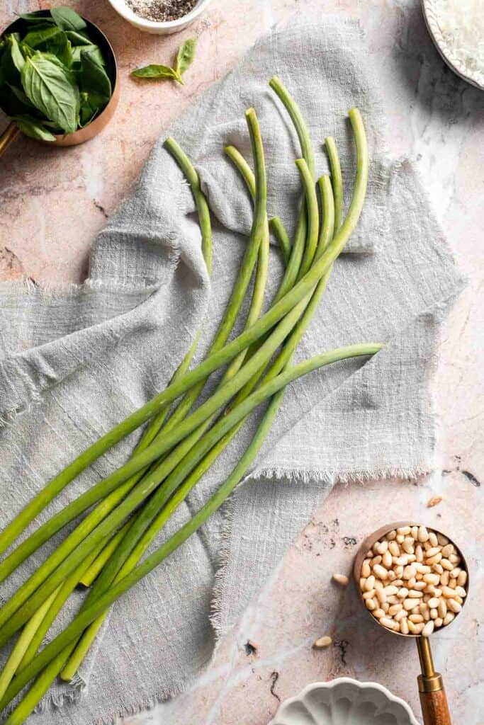 Fresh garlic scape pesto with basil, parmesan, toasted walnuts, and olive oil. Easy seasonal summer sauce for pasta, sandwiches, and more. | aheadofthyme.com