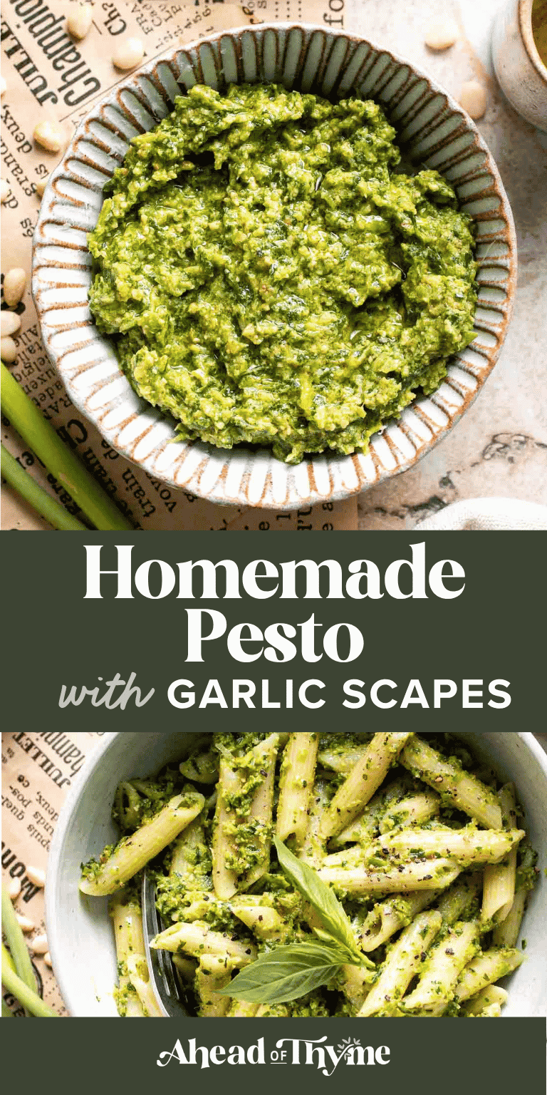Fresh garlic scape pesto with basil, parmesan, toasted walnuts, and olive oil. Easy seasonal summer sauce for pasta, sandwiches, and more. | aheadofthyme.com