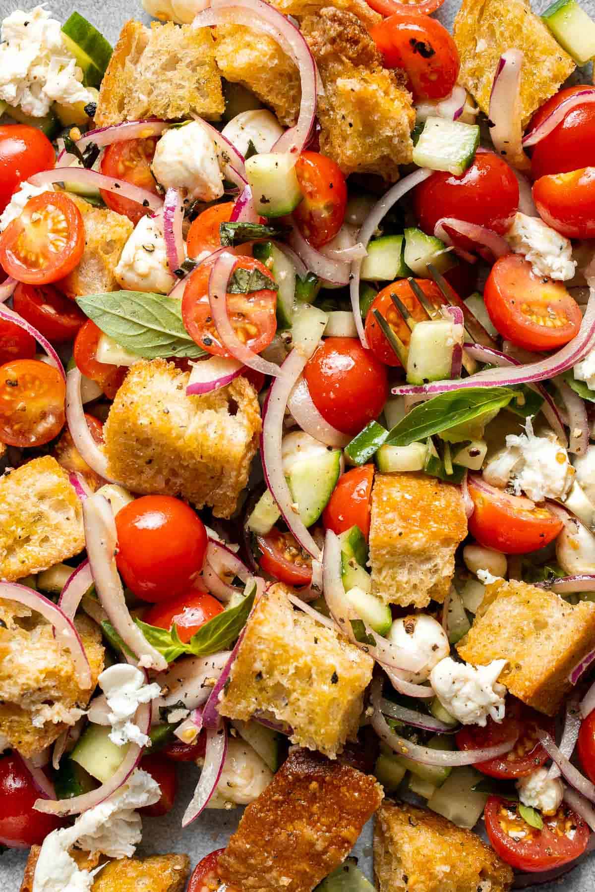 Close up of panzanella salad with tomatoes and basil