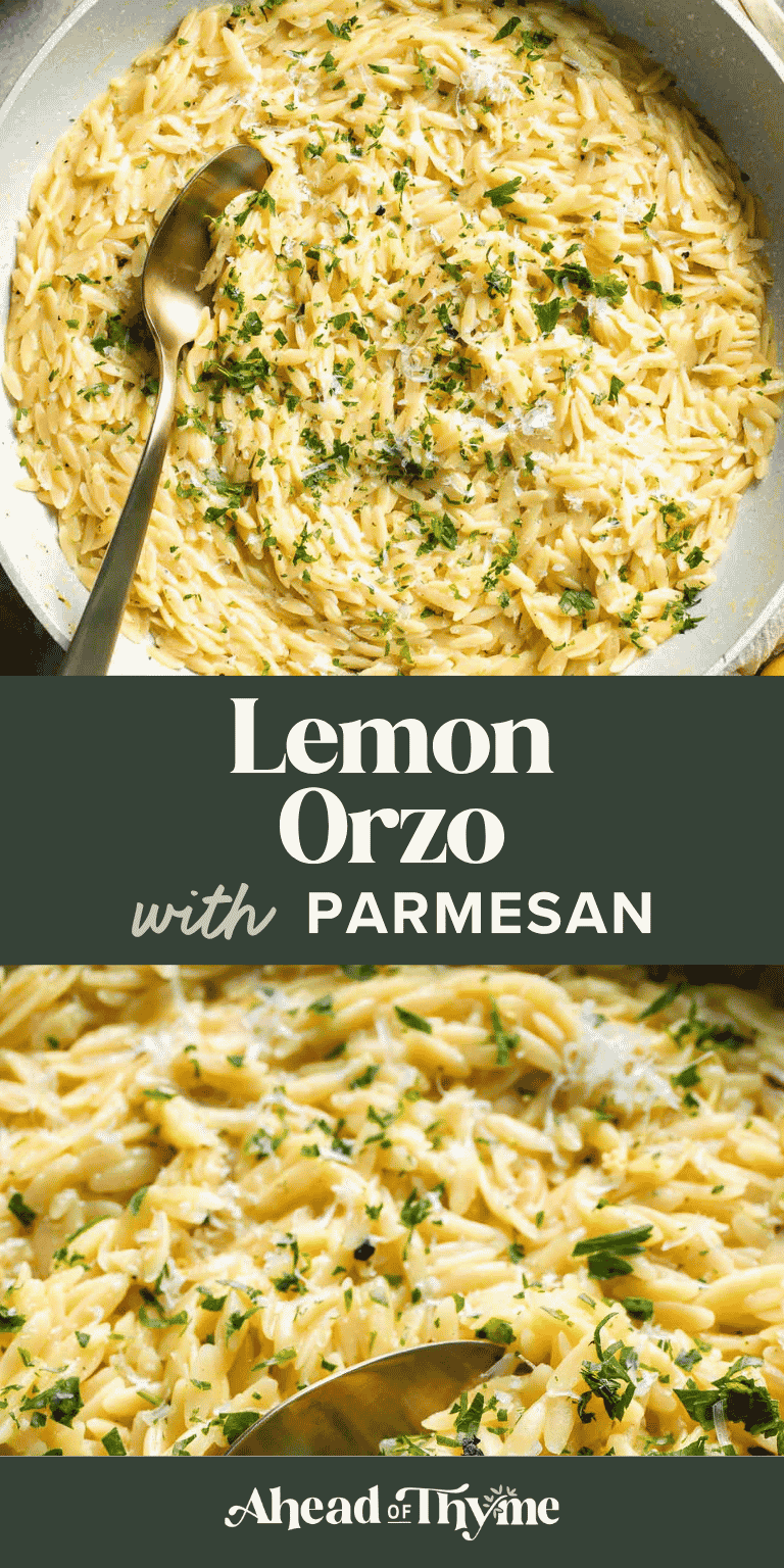 Easy Lemon Orzo recipe made with Parmesan cheese, garlic, butter, and fresh lemon. This creamy one-pot orzo is the perfect quick side dish for any meal.