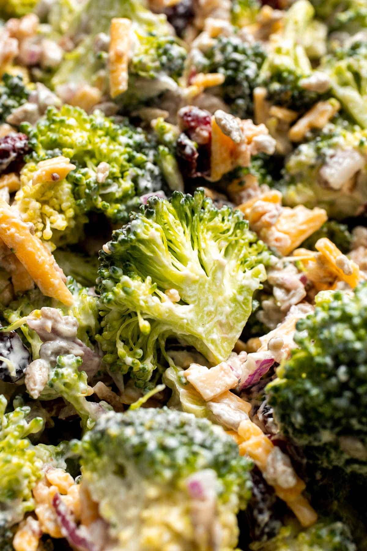Close-up of creamy Broccoli Salad with bacon, cheddar cheese, cranberries, and sunflower seeds.