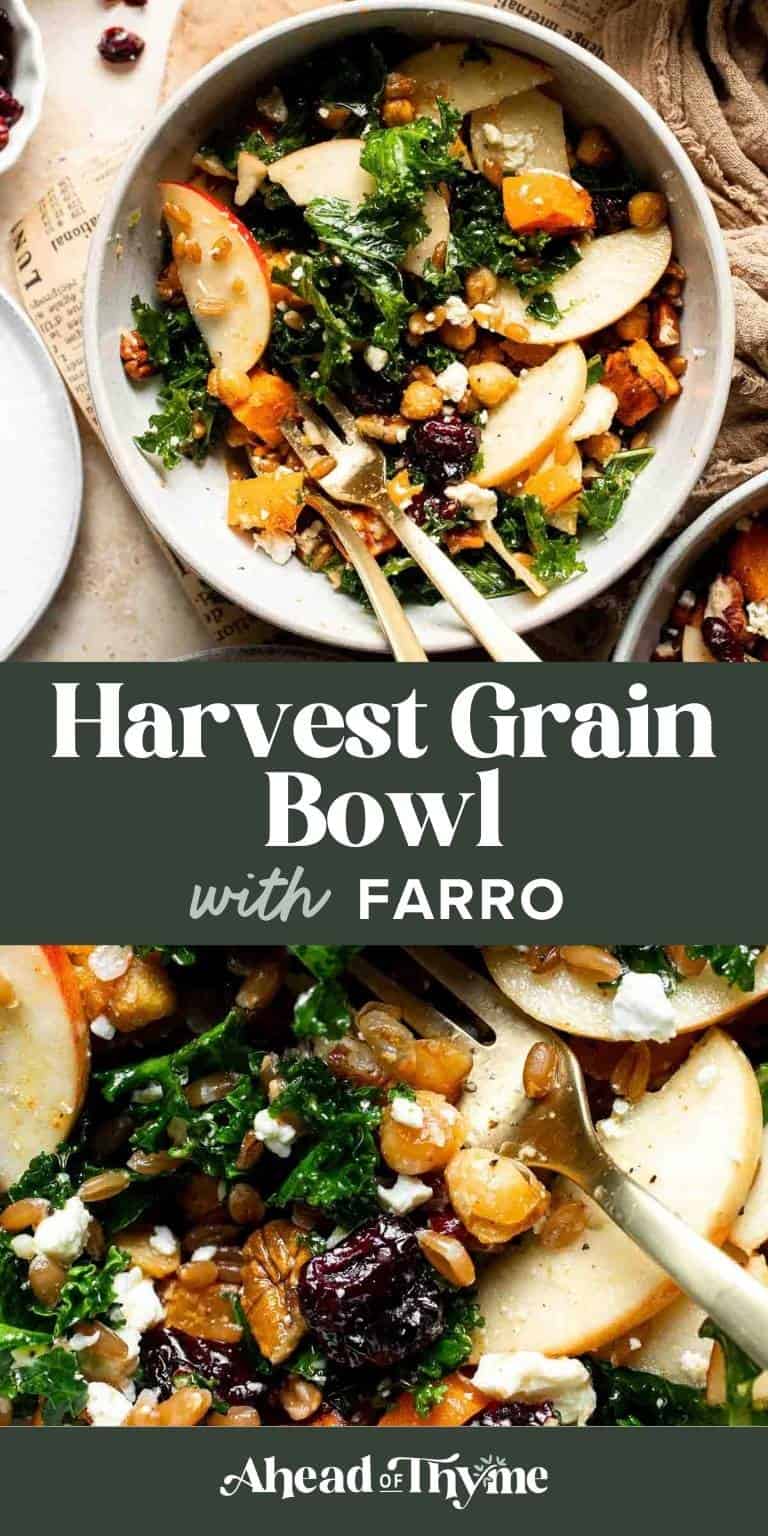 Harvest Grain Bowl recipe — farro, roasted sweet potatoes, chickpeas, kale, apple, feta, and pecans in a maple Dijon dressing | Ahead of Thyme